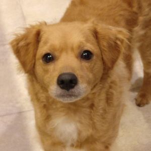 Meet your Posher, Jen